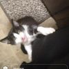 madison_the_emo